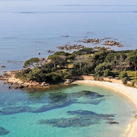 Studio Rue Pietonne Ajaccio Аяччо Экстерьер фото