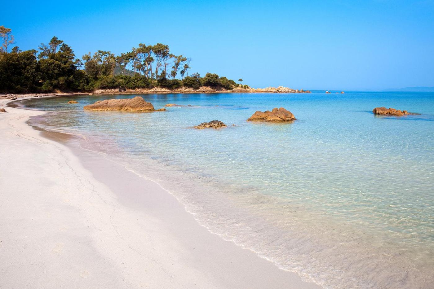 Studio Rue Pietonne Ajaccio Аяччо Экстерьер фото